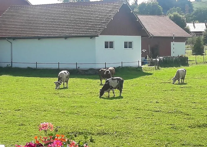 Gaestehaus Reisacher - Einzelzimmer * Peiting